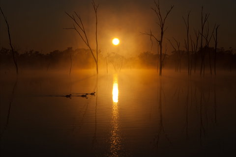 Boshack Outback - Stayed 1