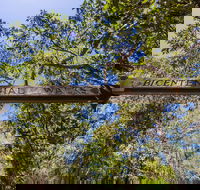 Bribie Island Bicentennial Trails - Stayed