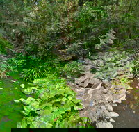 Brindle Creek Picnic Area - Stayed