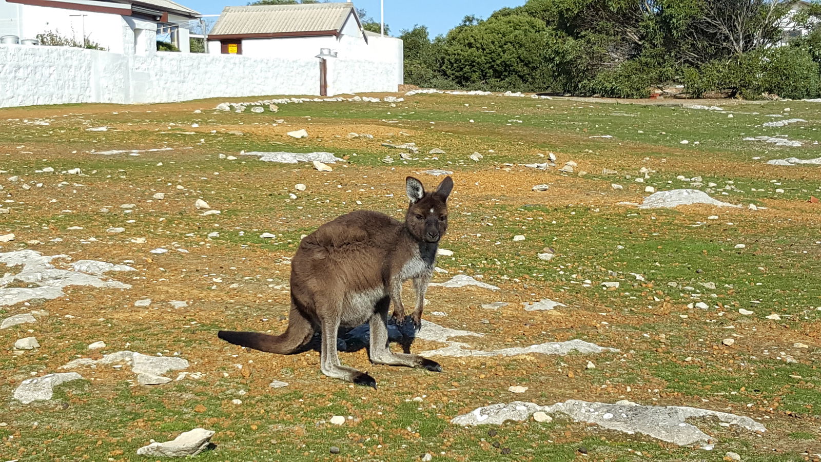 Destrees Bay SA Stayed