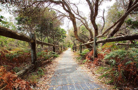 Chinamans Beach Evans Head - Stayed 1