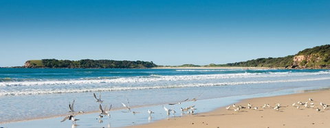 Chinamans Beach Evans Head - Stayed 2