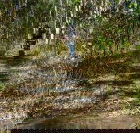 Cliff Face track - Stays Accommodation