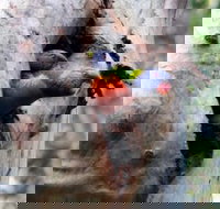 Cumberland State Forest - Stayed