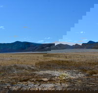 Darke Peak Scenic Drive - Stayed