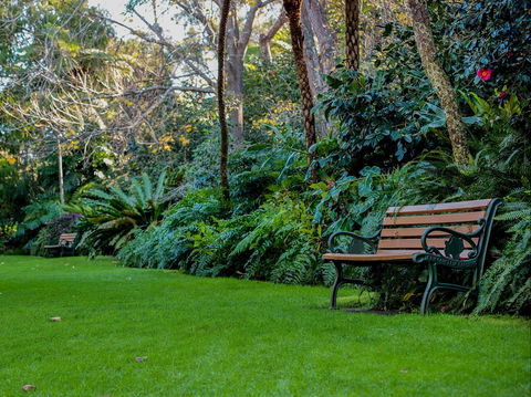 EG Waterhouse National Camellia Gardens - Stayed 0