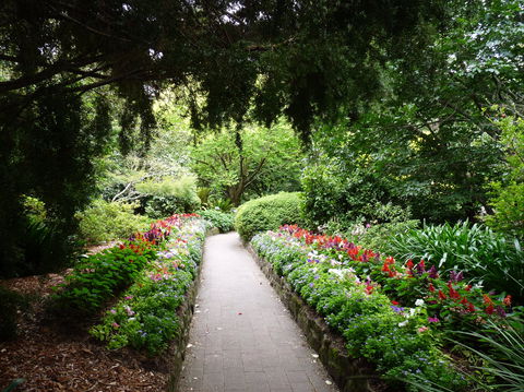 EG Waterhouse National Camellia Gardens - Stayed 1