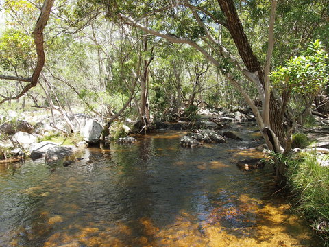 Emerald Creek, Dinden West Forest Reserve - Stayed 1