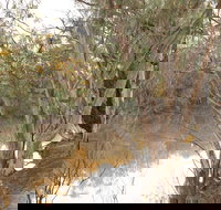 Eulo Town Hole - Stayed