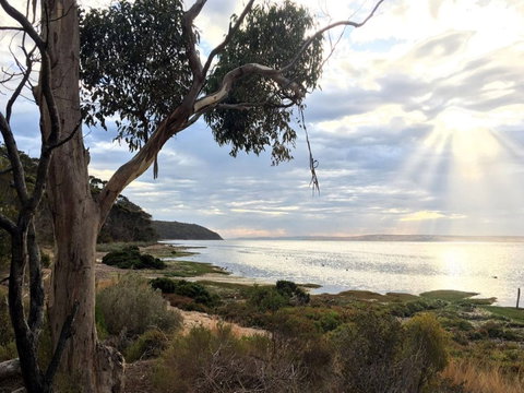 Fish Cannery Walking Trail - Stayed 0