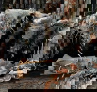 Geckostrands Textile Artist - Stayed