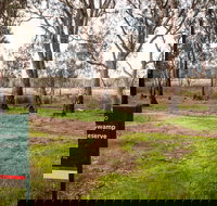 Gemmill Swamp Wildlife Reserve - Stayed