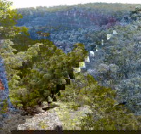 Glenbrook Gorge Track - Stayed