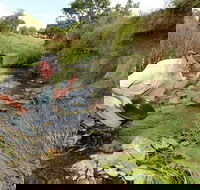 Gold Panning Deep Creek - Stays Accommodation