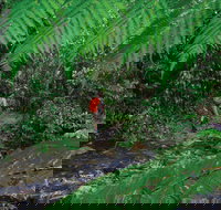 Goldsborough Valley Wooroonooran National Park - Stayed