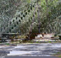 Goonoowigall State Conservation Area - Stayed