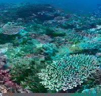 Hanging Rock Dive Site - Stayed
