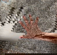 Hands of Fame Park - Stayed