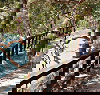 Harbour Bridge to The Spit Bridge Walking Track - Stayed