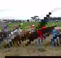 High Country Trail Rides - Stayed