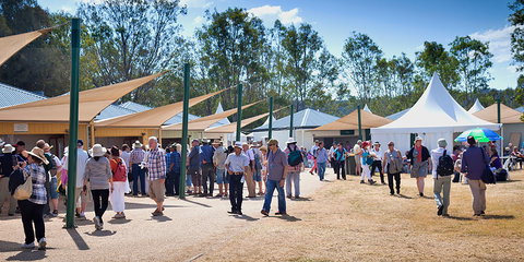 Ivory's Rock Conventions And Events - Stayed 2