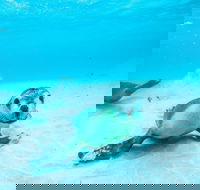 Jurien Bay - Stayed