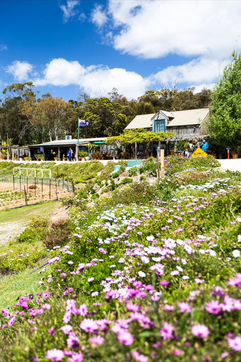 Kate's Berry Farm - Stayed 0