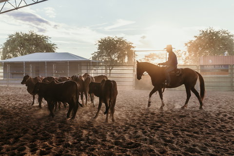 Katherine Outback Experience - Horse Riding Experience - Stayed 2