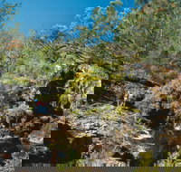 Kroombit Tops National Park - Stayed