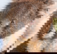 Kyabram Fauna Park - Stayed