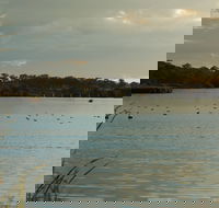 Lake Inverell Reserve - Stayed