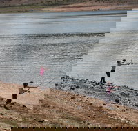 Lake Wyangala - Stayed