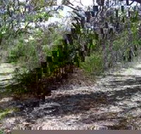 Lanky's Walk - Stayed