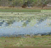 Leaning Tree Lagoon Nature Park - Stayed