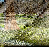 Leaghur State Park - Stayed