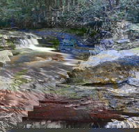 Liffey Falls Reserve - Stayed