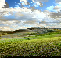 Lions Park Hodgson Vale - Stayed