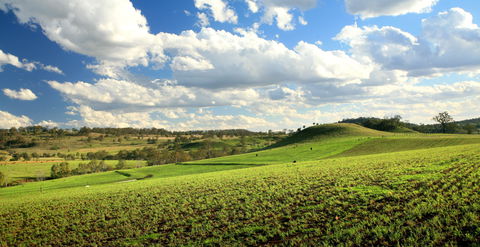 Lions Park, Hodgson Vale - Stayed 0