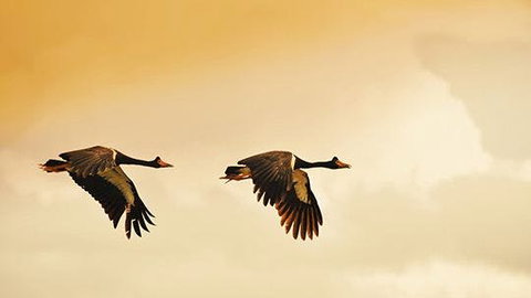 Mary River - Stays Accommodation 1