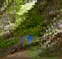 Melba Gully - Stayed