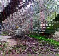 Mount Worth State Park - Stayed