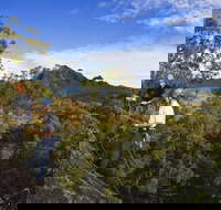 Mount Barney - Stayed