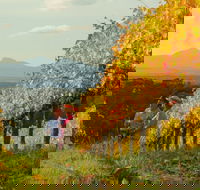 Mount Barker - Stayed