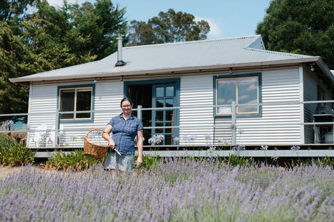 Nannup Lavender Farm - Stayed 1