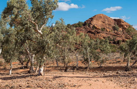 Old Coach Road Drive - Stayed 0