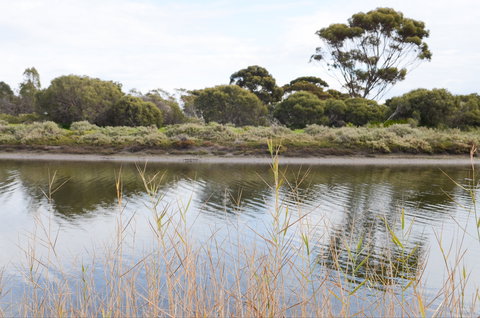 Onkaparinga River Recreation Park - Stayed 0