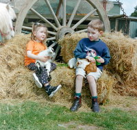 Rain Hayne and Shine Farmyard - Stayed