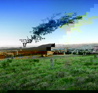 Ravensbourne - Stayed