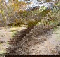 Red Rocks trig walking track - Stayed