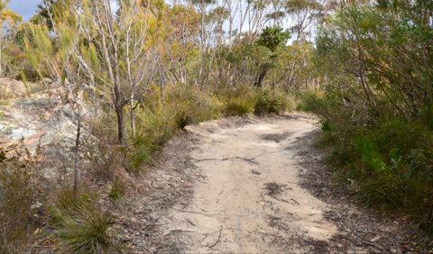 Red Rocks Trig Walking Track - Stayed 0